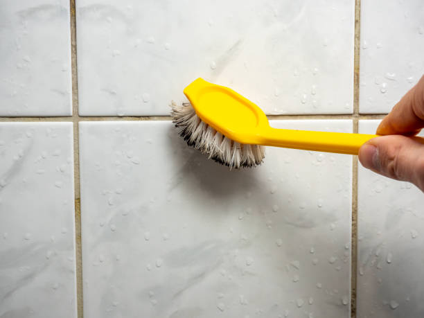 Best Water Damage Restoration  in Granvle, IL
