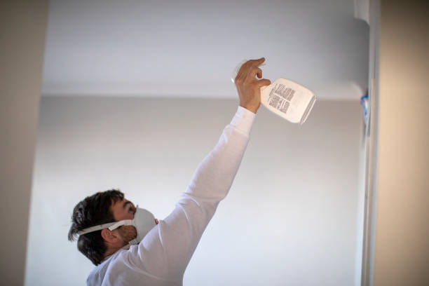 Office Mold Removal Services in Granville, IL