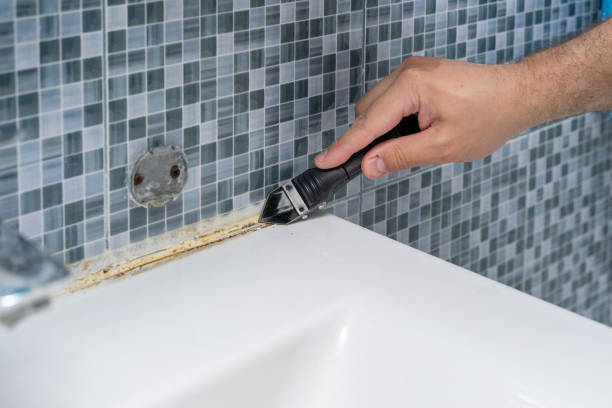 Best Affordable Mold Removal  in Granvle, IL