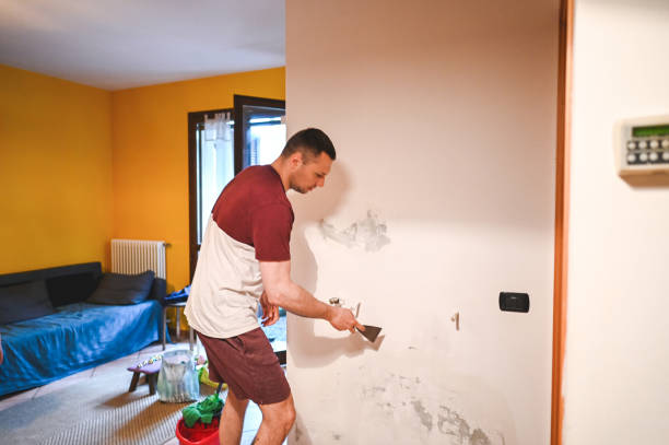 Best Certified Mold Removal  in Granvle, IL